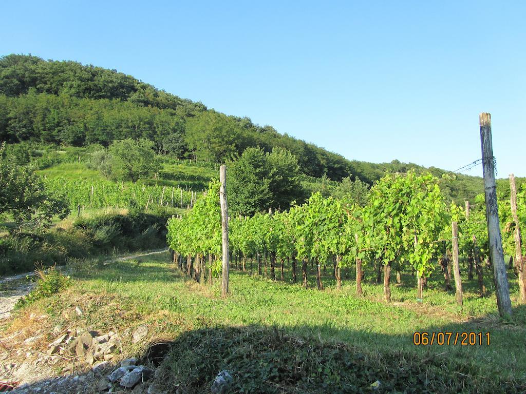 Arkade Turizem Crnice